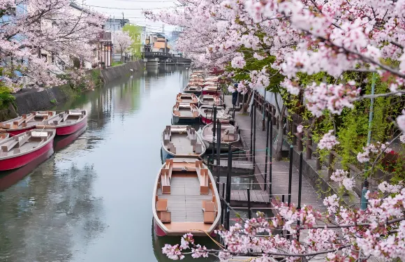 九州草莓採摘&柳川划船體驗&戀木神社&鳥棲奧特萊斯一日遊