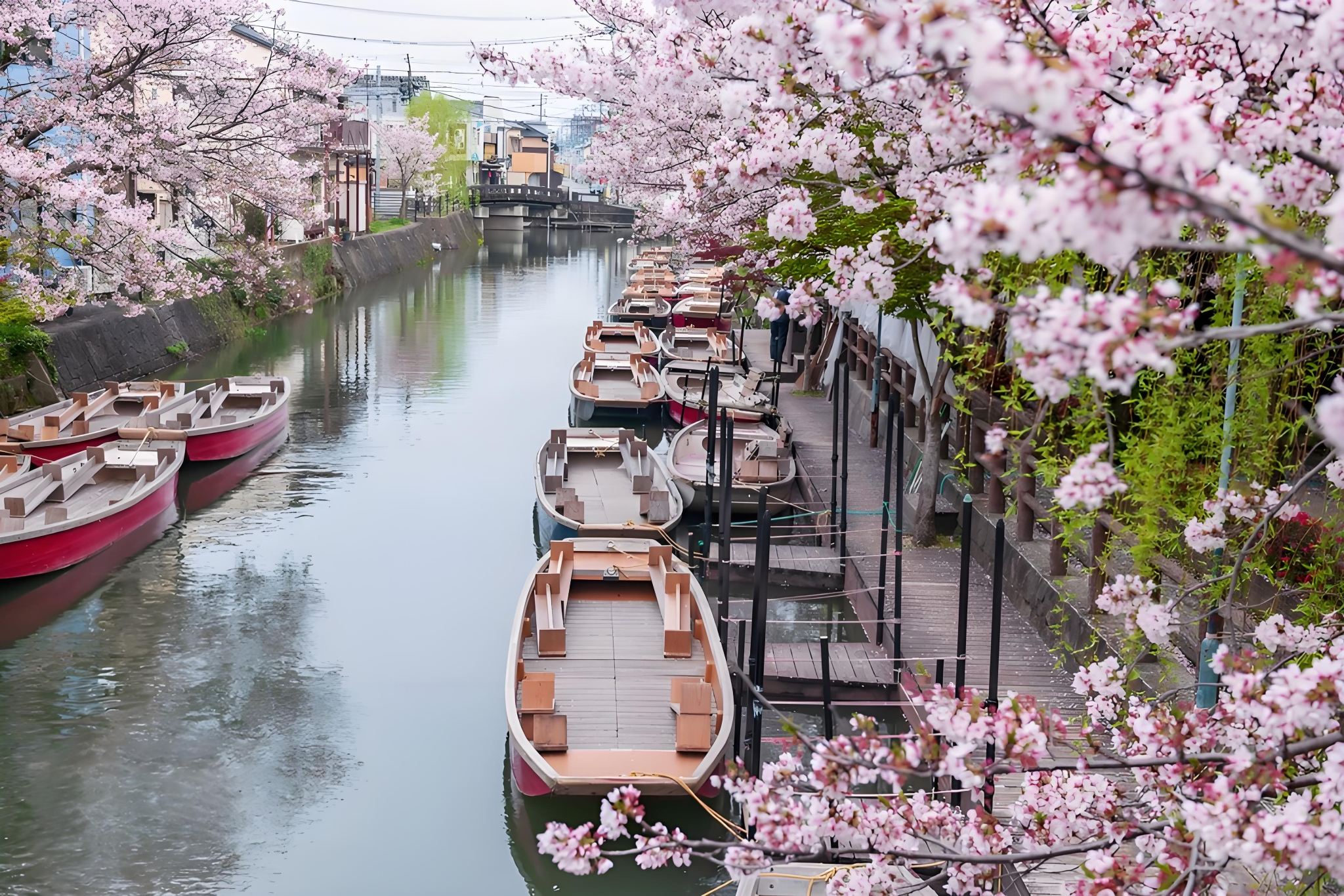 Kyushu Strawberry Picking & Yanagawa Boat Ride & Koimiko Shrine & Tosu Premium Outlets 1-Day Tour