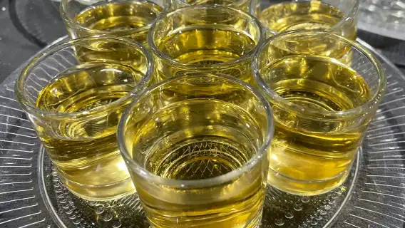 Valencia: Small-Group Evening Tapas Crawl