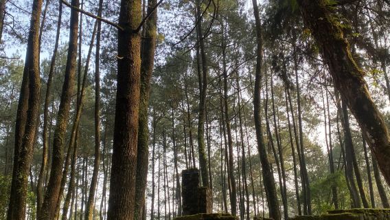 Bandung RegencyExperiences