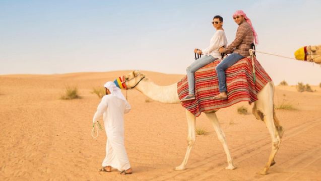 Beat the heat | Dubai 1 hour morning desert camel ride with Dune bashing (With/without transfers)