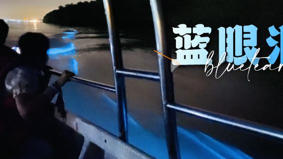 Experiencia Lágrimas Azules con paseo en barco en Kuala Selangor