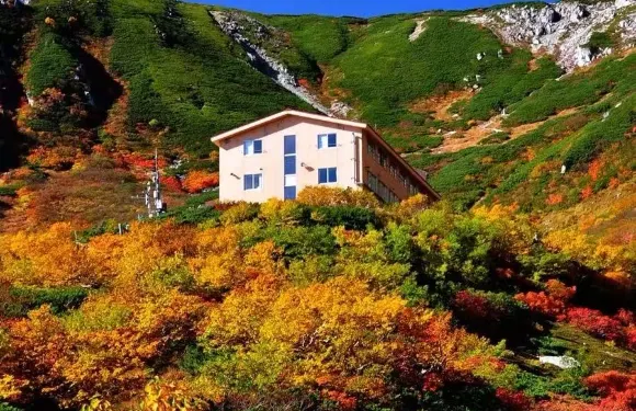 日本長野千疊敷冰斗+光前寺【秋季賞楓限定/中文私家包車】