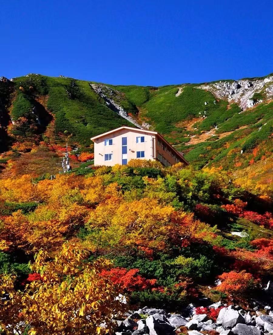 日本長野千疊敷冰斗+光前寺【秋季賞楓限定/中文私家包車】