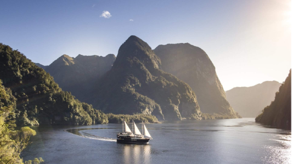 Doubtful Sound: Tagestour mit Bootstour ab Manapouri, Queenstown oder Te Anau