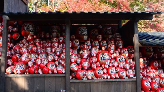 Katsuo-ji Temple + Byodoin Phoenix Hall + Arashiyama Scenery (with pork or Kobe beef shabu-shabu set meal)