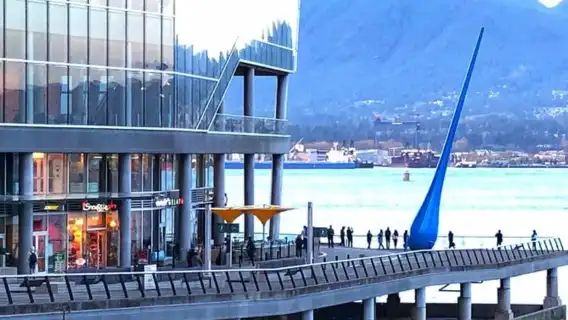 แวนคูเวอร์: การผจญภัยชมปลาวาฬพร้อมทัวร์ชมเมืองแบบส่วนตัว