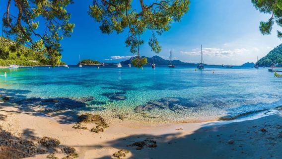 Mallorca: Discover Paradise: Formentor and Playa de Muro
