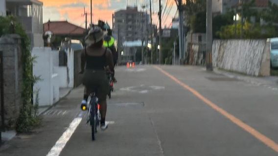 Okinawa: Afternoon Cycling Tour with Local Guide
