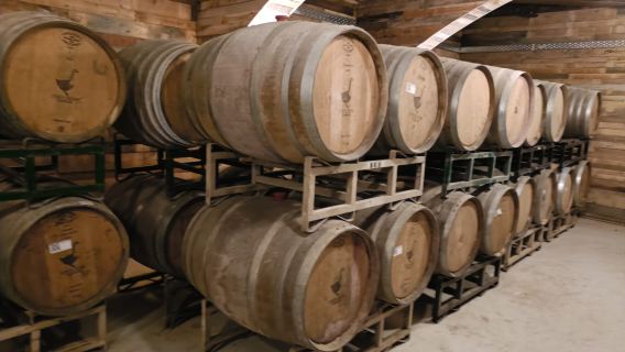 Bevi come un esperto! - Unisciti all'esperienza di degustazione di alcolici