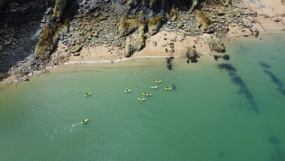 Tenby: Aventura guiada en kayak