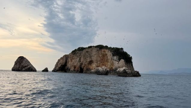 Ulcinj : Croisière en bateau sur la mer Adriatique avec pique-nique de poisson