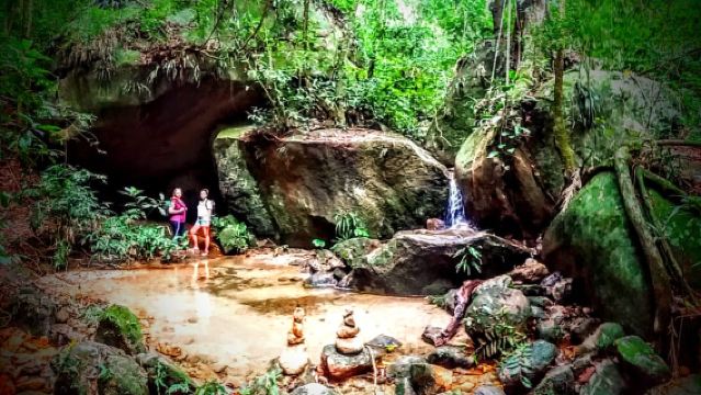 Rừng Tijuca: Chuyến đi bộ nửa ngày khám phá lịch sử và phiêu lưu