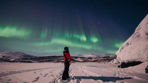 Abisko: tour in auto all'aurora boreale con fotografo