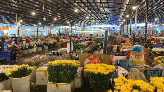 中国広州 中国語—ベトナム語翻訳 購買アシスタント|ショッピングガイド 及び ビジネスガイドサービス【プライベートプランカスタマイズ可】