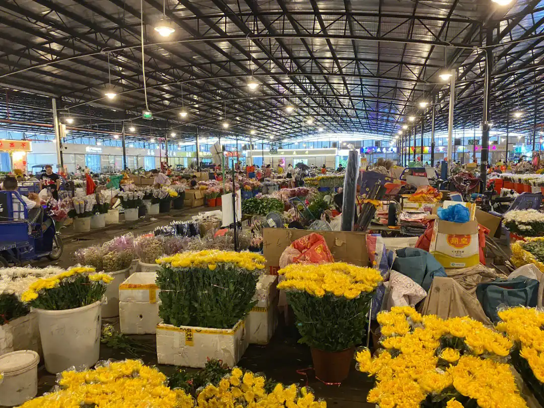 Guangzhou, China Chinese-Vietnamese Translation Procurement Assistant|Shopping guide and business guide services [customizable private itinerary]