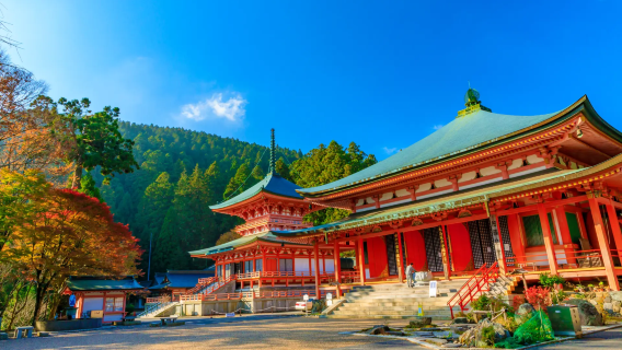 1-day tour to Enryaku-ji Temple on Mount Hiei, Omihachiman, and Kyorinbo Temple's red maple illumination