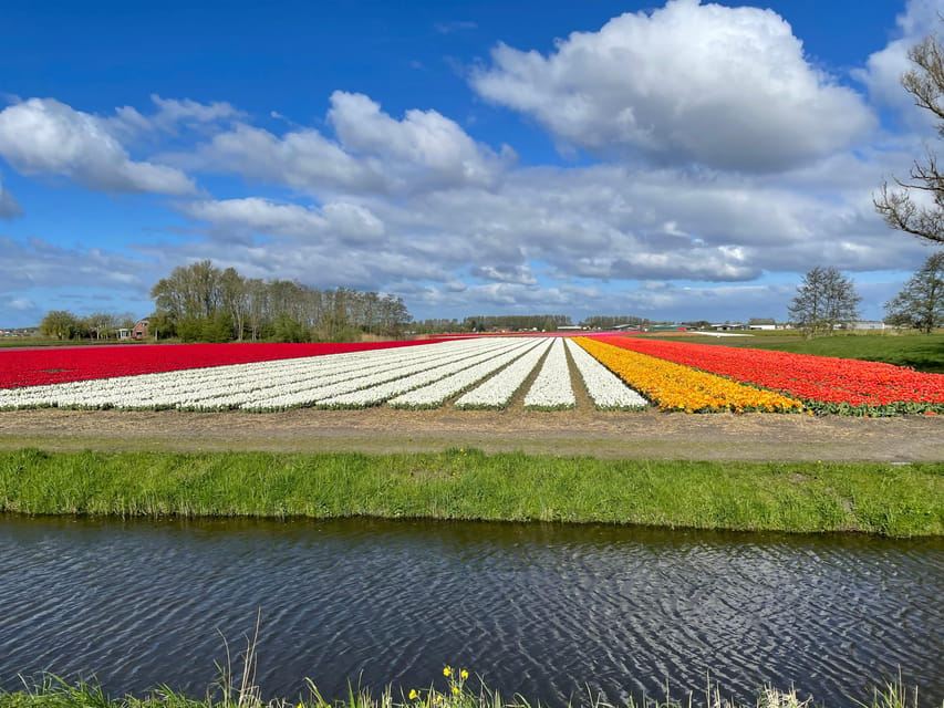 Keukenhof: tour culturale in bicicletta per piccoli gruppi nei campi di fiori