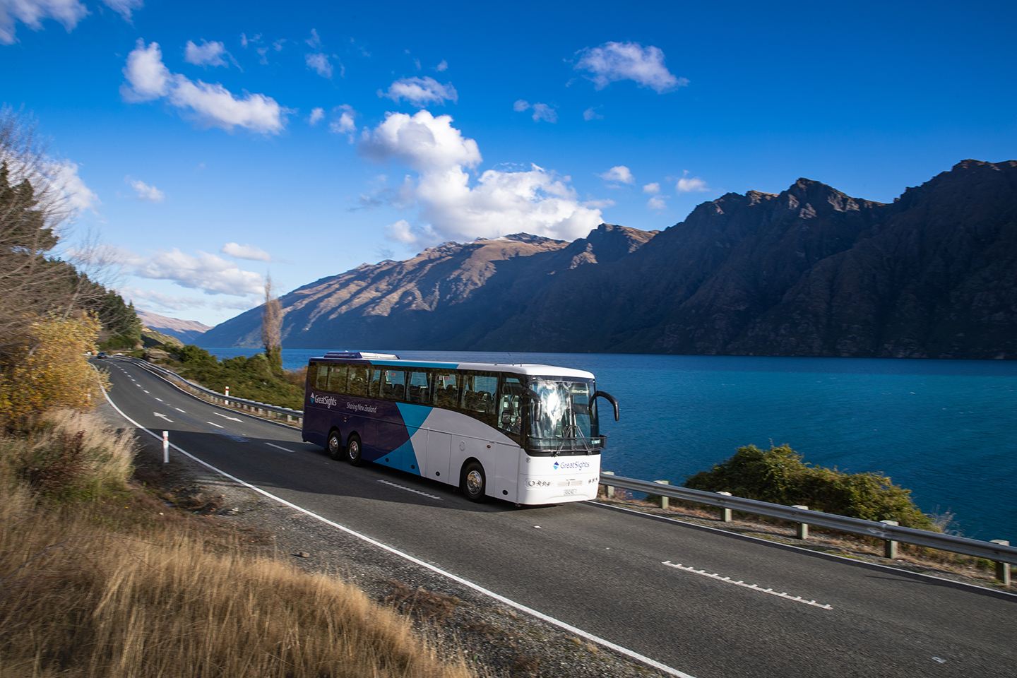 1-day tour from Queenstown to Franz Josef Glacier, New Zealand