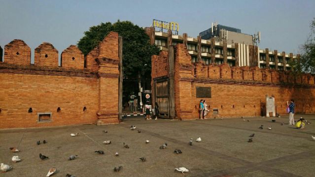 Chiang Mai Tiger Kingdom + Elephant Poo Poo Paper Park + Shooting Experience + Tha Phae Gate + Kalare Night Bazaar 1-day Tour