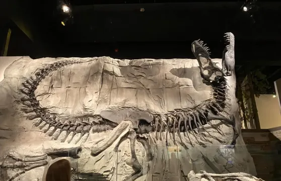 加拿大卡爾加里皇家泰瑞爾博物館一日遊【恐龍探秘，化石奇觀】