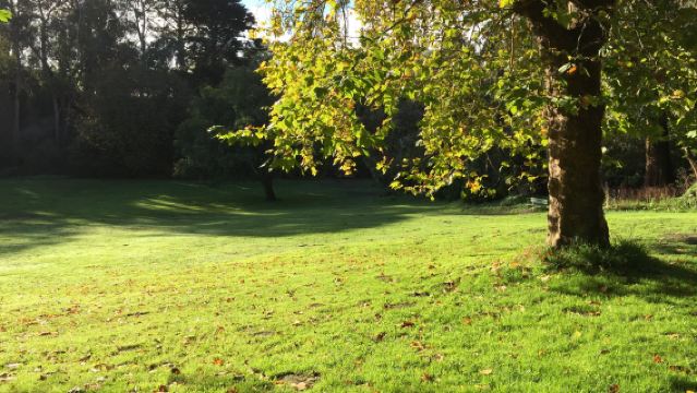 美國舊金山唐人街+金門公園+雙子峰【文藝與自然遊】
