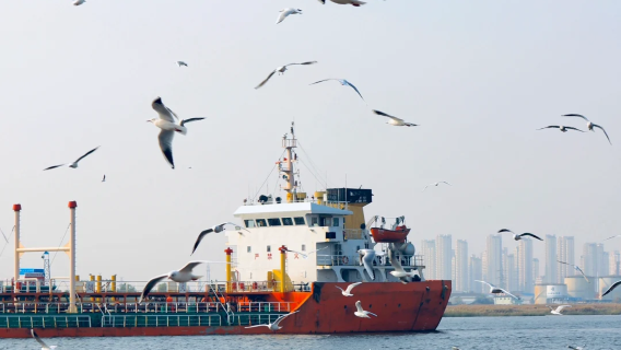 天津復古輪渡餵海鷗+海河觀光+小吃街一日