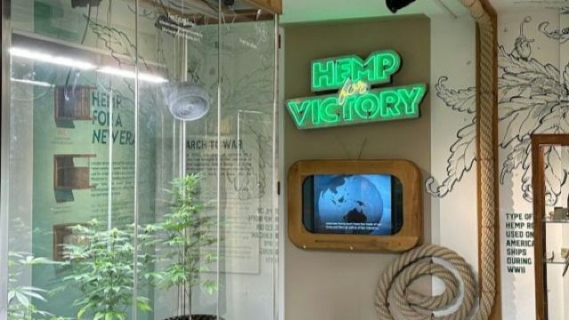 Musée du Cannabis à Amsterdam : Billet d'entrée + Audioguide