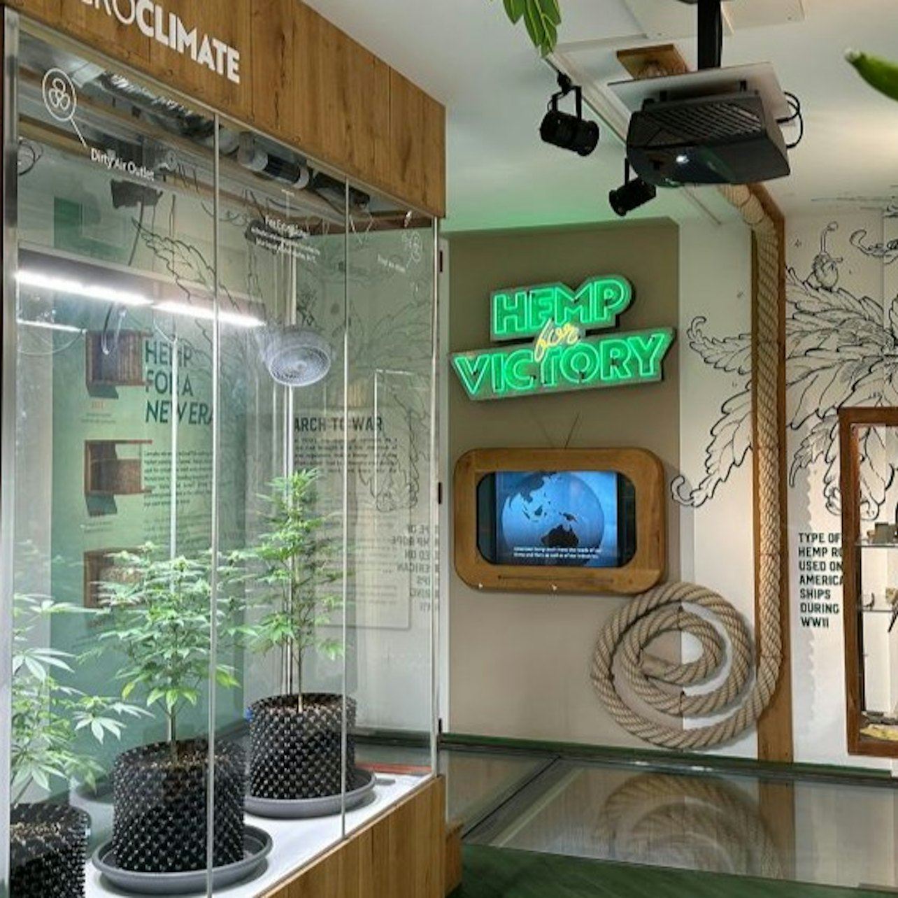Museo della Cannabis di Amsterdam: biglietto d'ingresso + audioguida