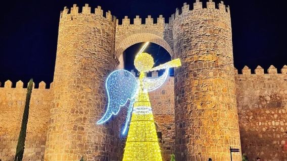 Madrid to Avila and Segovia round-trip private charter - top pick