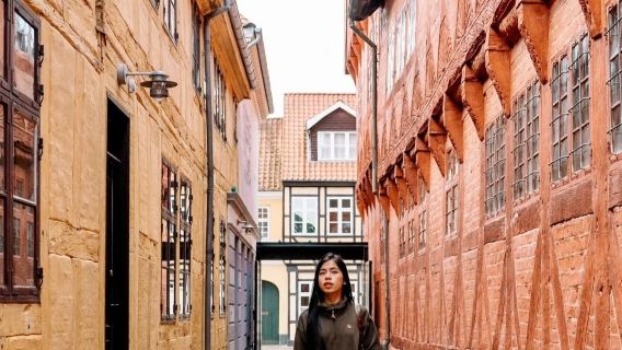 Copenhagen to Odense round-trip - Hans Christian Andersen's House - Egeskov Castle - Private Charter Top Pick