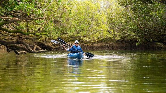 Tour in kayak al Santuario dei Delfini ad Adelaide
