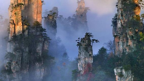 8-person Small Group Pure Play Bilingual (Chinese-English) Join-in Tour to Zhangjiajie National Forest Park 1-day Tour