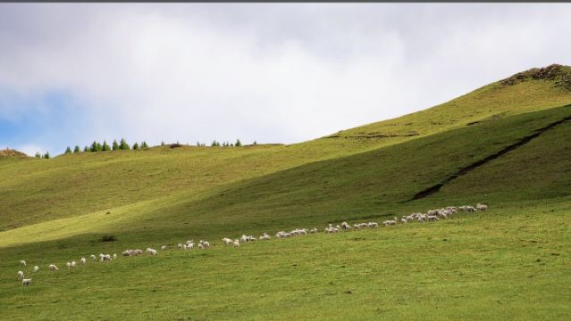 Lawatan sehari sewaan peribadi ke rahsia Pergunungan Daqing Hohhot (Hadamen + Liang Air Suci, berjalan kaki menghindari panas)