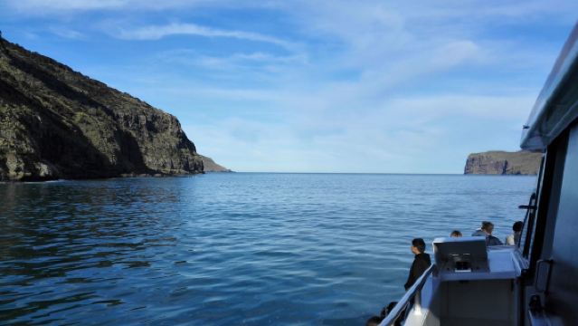 Christchurch, New Zealand|Semenanjung Banks + Bukit Pelabuhan + Panorama Pelabuhan Little