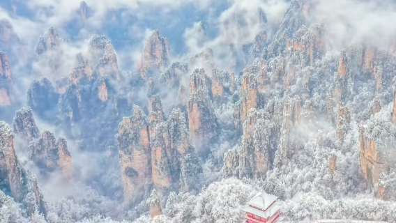 [VIP Access] 1-day Tour to Zhangjiajie National Forest Park (Avatar) - Hot Selling in Peak Season