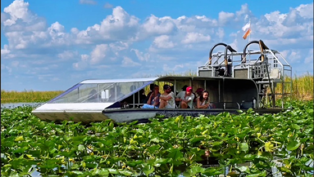 Excursión de medio día en Miami + Parque Nacional de los Everglades - Aventura en barco de vapor - Encuentro cercano con cocodrilos