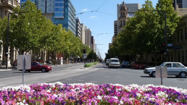 Il meglio di Adelaide - Tour dei punti salienti della città (mezza giornata)