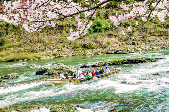 京都嵐山嵯峨野觀光小火車+保津川漂流+嵐山citywalk一日遊