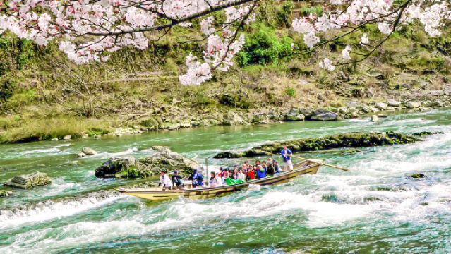 ทัวร์ 1 วันในเกียวโต: รถไฟสายโรแมนติกซากาโนะ + ล่องเรือในแม่น้ำโฮซูกาวะ (โฮซูกาวะ คุดาริ) + เดินเล่นในอาราชิยาม่า