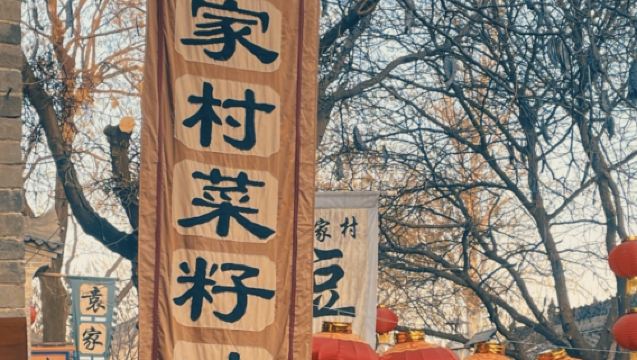 Xi'an Qianling Mausoleum + Yuanjia Village 1-day Tour (Private Tour)