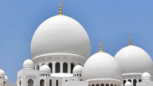 1-day tour from Dubai to Abu Dhabi with private charter/rideshare options