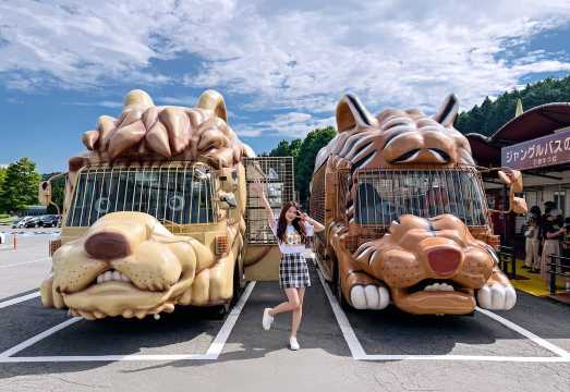 1-day tour to Kyushu Wildlife Park African Safari: Beppu Umi Jigoku + Yufuin Panorama + Mount Yufu Trailhead