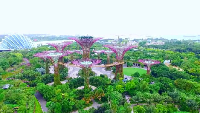 Gardens by the Bay 1-day tour including Flower Dome and Cloud Forest