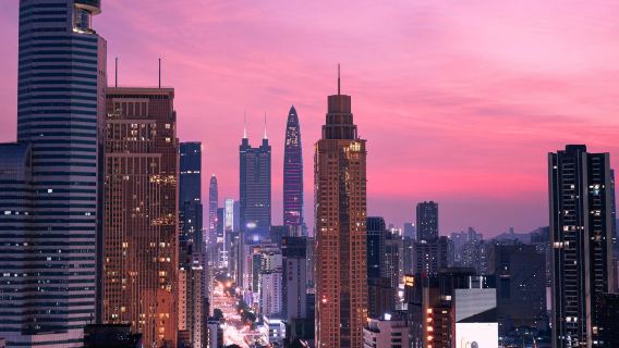 [Exklusiv privatbil ◇ Snabb tullpassering] Direkt transfer från Shenzhen till Hongkongs flygplats, Disneyland Hotel, Kowloon, Tsim Sha Tsui, Hong Kong Island, Causeway Bay | Passage via Shenzhen Bay/Huanggang-gränsposten