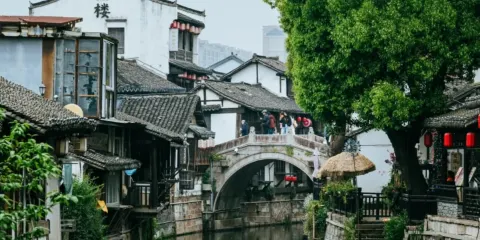 上海黃浦區接送包車遊 |江南古鎮水鄉+新場+朱家角+澱山湖