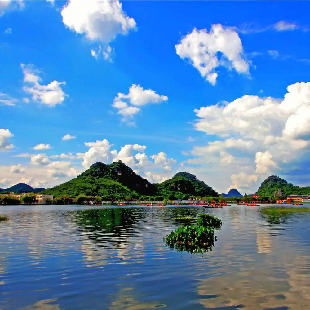 Yunnan - business translation - Chinese/Cantonese/English/Japanese
