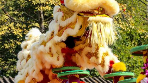 順德一日遊【含門票】佛山祖廟+清暉園博物館+黃飛鴻紀念館+逢簡水鄉