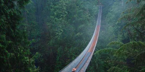 加拿大溫哥華-卡皮拉諾+林恩峽谷-森林秘境雙吊橋-包車-臻選