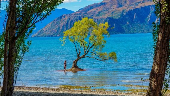 Yeni Zelanda Queenstown Wanaka + Arrowtown Günübirlik Tur İngilizce Grup